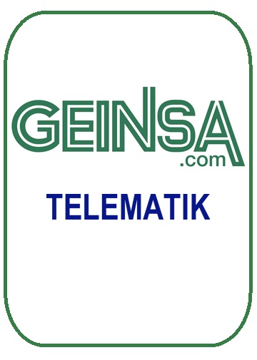 TELEMATIK